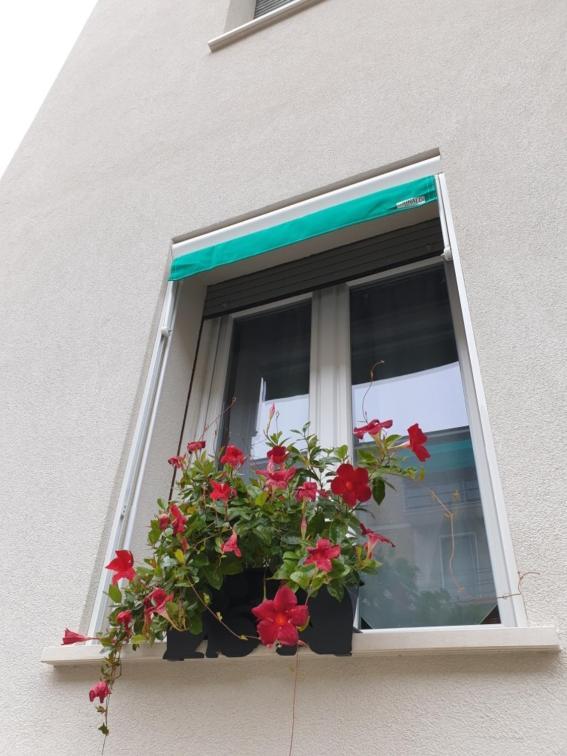 A Casa Di Elsa Apartment Castenaso Ngoại thất bức ảnh